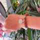 Old coin bracelet 1501772