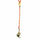 Necklace with shell
