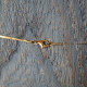 Chain necklace 1002525