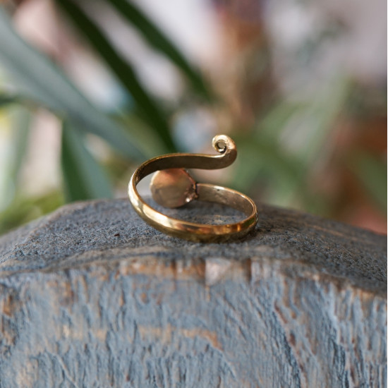 Bronze ring 3001275