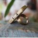 Ring 3001289